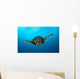 Close-up Head Hawksbill Sea Wall Decal Design 1