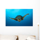 Close-up Head Hawksbill Sea Wall Decal Design 1