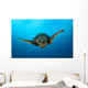 Close-up Head Hawksbill Sea Wall Decal Design 1