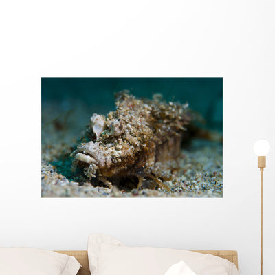 Spiny Devilfish Covered Sand Wall Decal shown on a wall
