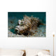 Spiny Devilfish Covered Sand Wall Decal