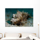 Spiny Devilfish Covered Sand Wall Decal