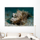 Spiny Devilfish Covered Sand Wall Decal