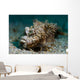 Spiny Devilfish Covered Sand Wall Decal