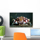 Harlequin Swimming Crab Sulawesi Wall Decal