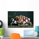Harlequin Swimming Crab Sulawesi Wall Decal