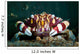 Harlequin Swimming Crab Sulawesi Wall Decal