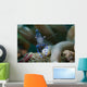 Sarasvati Anemone Shrimp Sulawesi Wall Decal