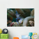 Sarasvati Anemone Shrimp Sulawesi Wall Decal