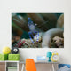 Sarasvati Anemone Shrimp Sulawesi Wall Decal