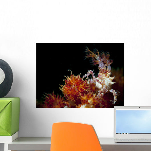 Candy Crab Red Orange Wall Decal