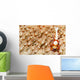 Emperor Shrimp on Sea Cucumber Wall Decal