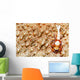 Emperor Shrimp on Sea Cucumber Wall Decal