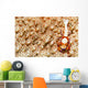 Emperor Shrimp on Sea Cucumber Wall Decal