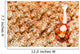Emperor Shrimp on Sea Cucumber Wall Decal