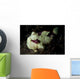 Painted Frogfish Cream Phase Wall Decal