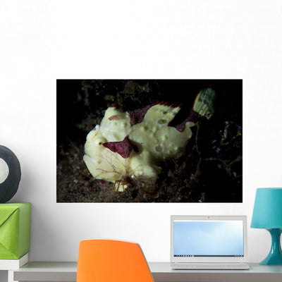 Painted Frogfish Cream Phase Wall Decal shown on a wall