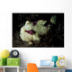 Painted Frogfish Cream Phase Wall Decal