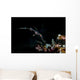 Ornate Ghost Pipefish Sulawesi Wall Decal