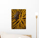 Striped Snapping Shrimp Yellow Wall Decal
