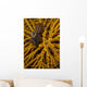 Striped Snapping Shrimp Yellow Wall Decal