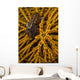 Striped Snapping Shrimp Yellow Wall Decal