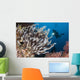 Colorful Crinoids and Soft Wall Decal Design 6