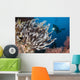 Colorful Crinoids and Soft Wall Decal Design 6