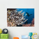 Colorful Crinoids and Soft Wall Decal Design 6