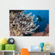 Colorful Crinoids and Soft Wall Decal Design 6
