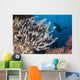 Colorful Crinoids and Soft Wall Decal Design 6