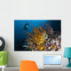 Diver Looks Group Crinoids Wall Decal Design 3