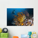 Diver Looks Group Crinoids Wall Decal Design 3