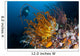 Diver Looks Group Crinoids Wall Decal Design 3