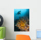 Diver Looks Group Crinoids Wall Decal Design 2