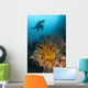 Diver Looks Group Crinoids Wall Decal Design 2