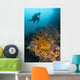 Diver Looks Group Crinoids Wall Decal Design 2