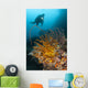 Diver Looks Group Crinoids Wall Decal Design 2