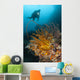 Diver Looks Group Crinoids Wall Decal Design 2