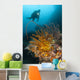 Diver Looks Group Crinoids Wall Decal Design 2