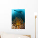 Diver Looks Group Crinoids Wall Decal Design 1