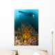 Diver Looks Group Crinoids Wall Decal Design 1