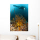 Diver Looks Group Crinoids Wall Decal Design 1