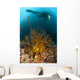 Diver Looks Group Crinoids Wall Decal Design 1