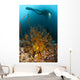 Diver Looks Group Crinoids Wall Decal Design 1