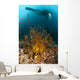 Diver Looks Group Crinoids Wall Decal Design 1