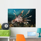 Close-up Lionfish Raja Ampat Wall Decal