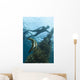 Juvenile Golden Spadefish Whilst Wall Decal