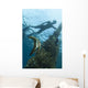Juvenile Golden Spadefish Whilst Wall Decal