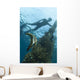 Juvenile Golden Spadefish Whilst Wall Decal